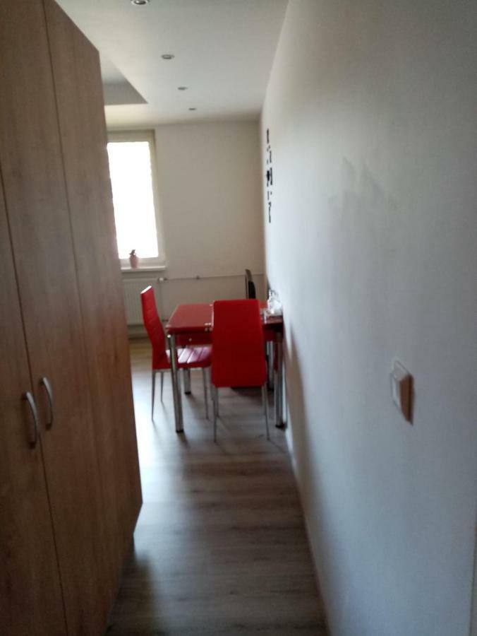 Apartman Aneta Karlovy Vary Ngoại thất bức ảnh